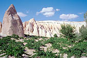 Cappadocia, the Rose valley